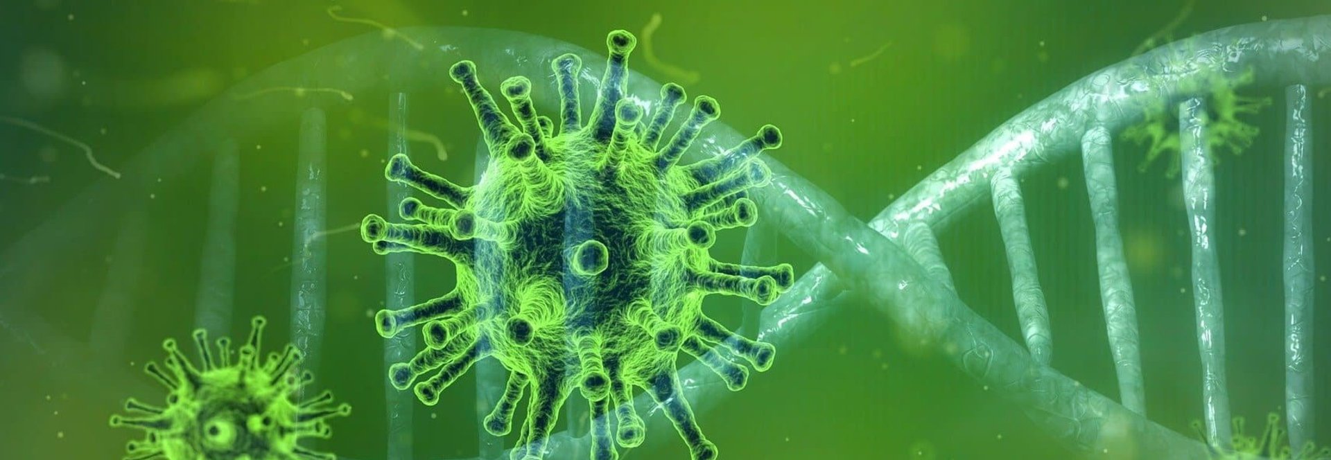 Coronavirus